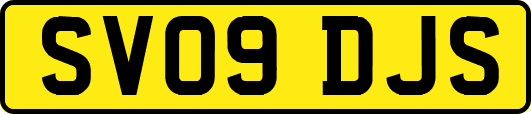 SV09DJS