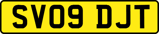 SV09DJT