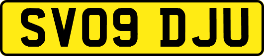 SV09DJU