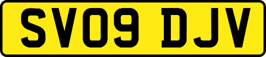 SV09DJV