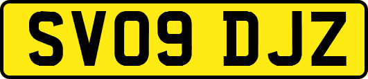 SV09DJZ