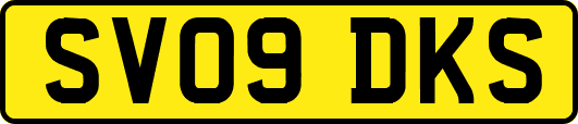 SV09DKS