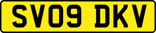 SV09DKV