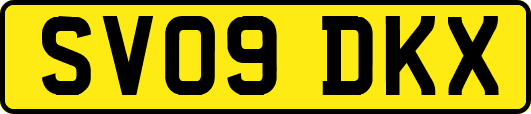 SV09DKX