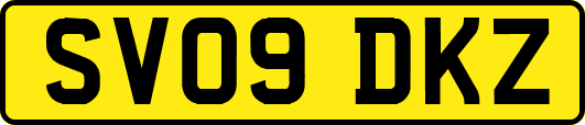 SV09DKZ