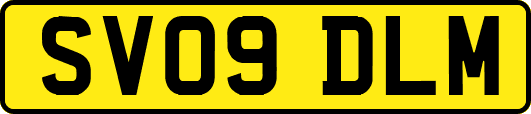 SV09DLM