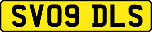 SV09DLS