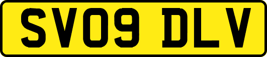 SV09DLV