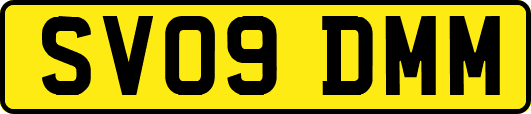 SV09DMM