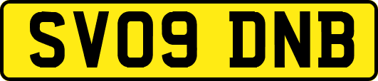 SV09DNB