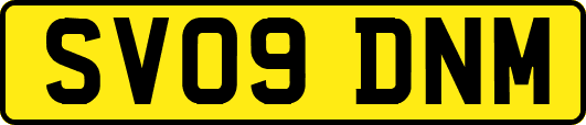 SV09DNM