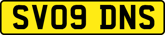 SV09DNS