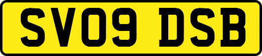 SV09DSB