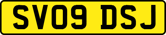 SV09DSJ