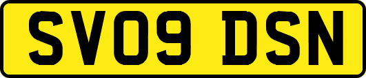 SV09DSN