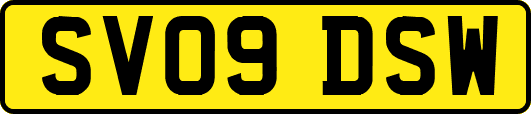 SV09DSW