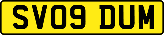 SV09DUM
