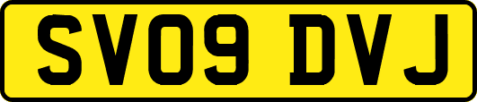 SV09DVJ
