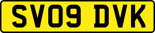 SV09DVK