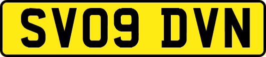 SV09DVN