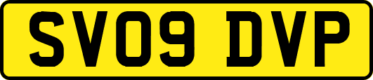 SV09DVP