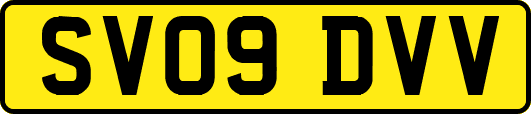 SV09DVV