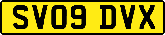 SV09DVX