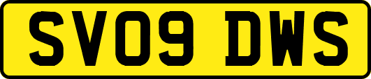 SV09DWS