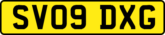 SV09DXG