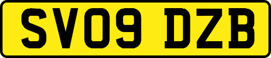 SV09DZB