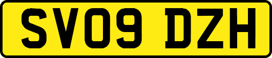 SV09DZH