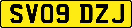 SV09DZJ