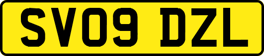 SV09DZL