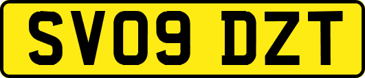 SV09DZT
