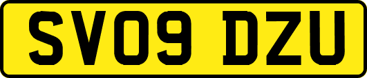SV09DZU