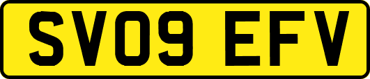 SV09EFV