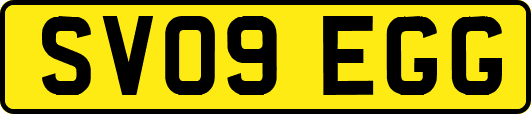 SV09EGG