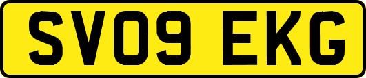 SV09EKG