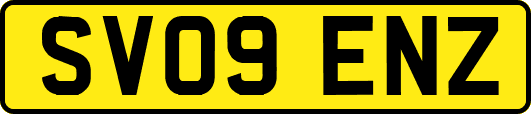 SV09ENZ
