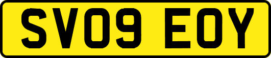 SV09EOY