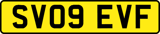 SV09EVF
