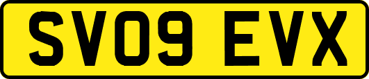SV09EVX