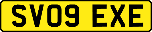 SV09EXE