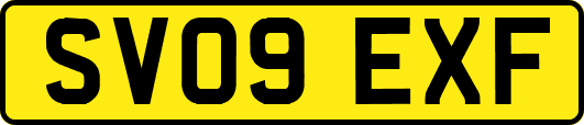 SV09EXF