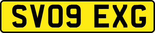 SV09EXG