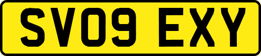 SV09EXY
