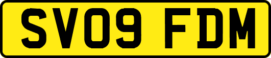 SV09FDM