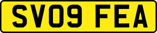SV09FEA