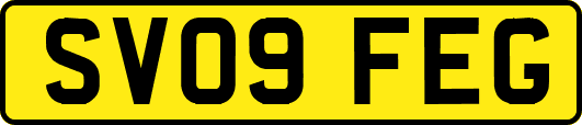 SV09FEG