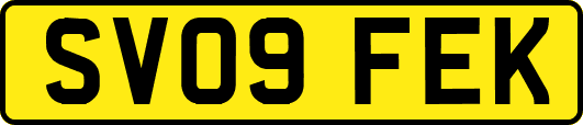 SV09FEK